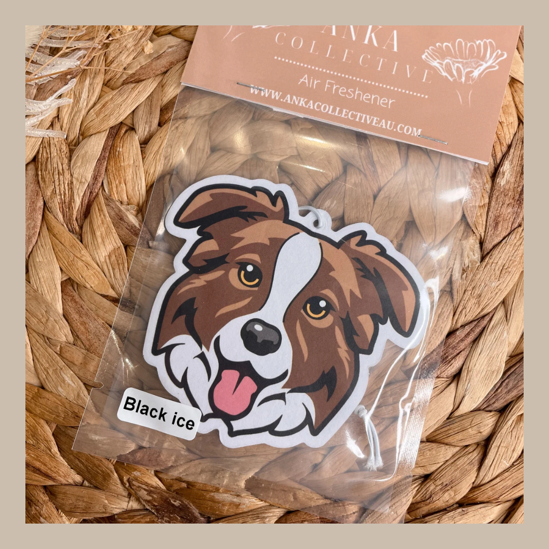 Border Collie Brown