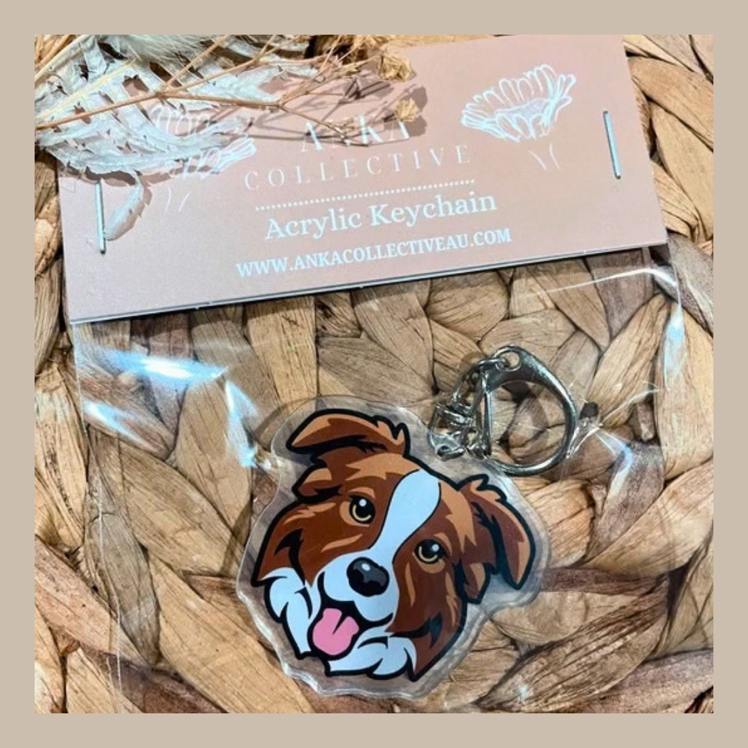 Border Collie Brown