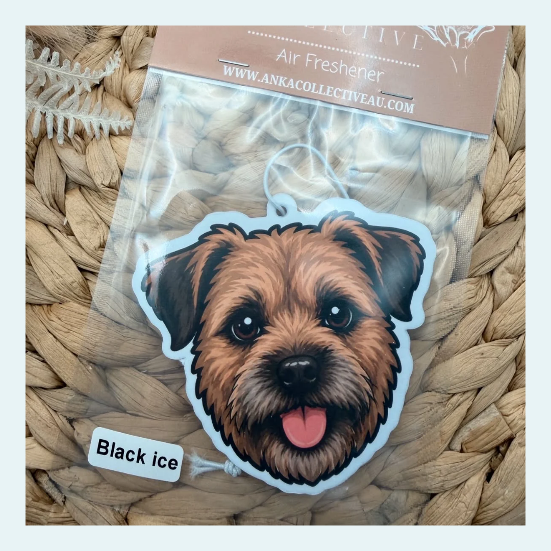 Border Terrier