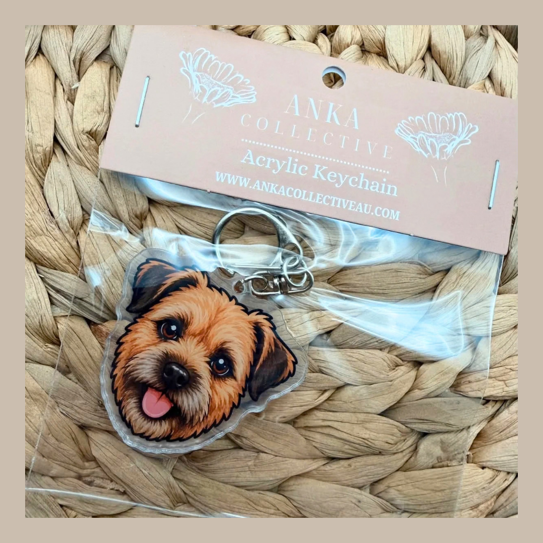 Border Terrier