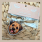 Border Terrier