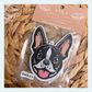 Boston Terrier