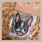 Boston Terrier
