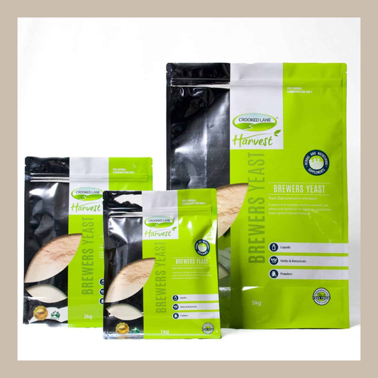 Brewers Yeast