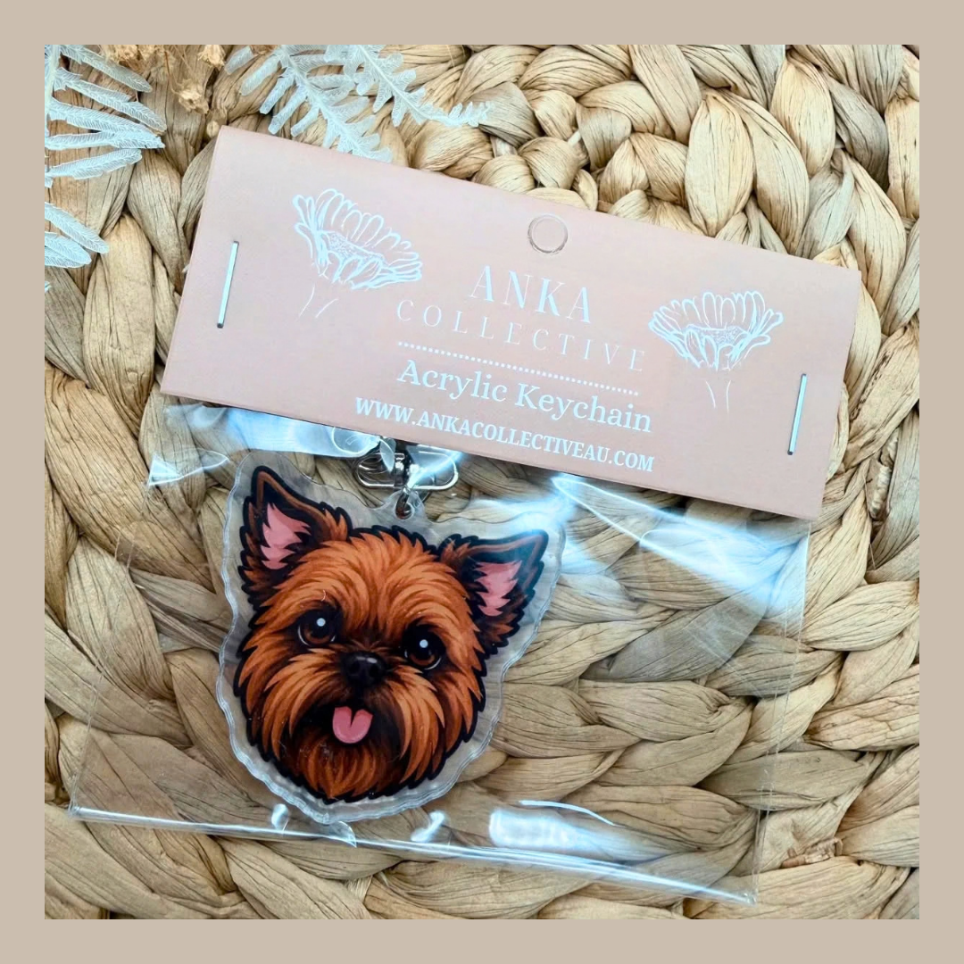 Brussels Griffon Brown
