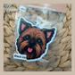 Brussels Griffon Brown