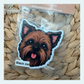 Brussels Griffon Brown