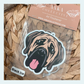 Bull Mastiff