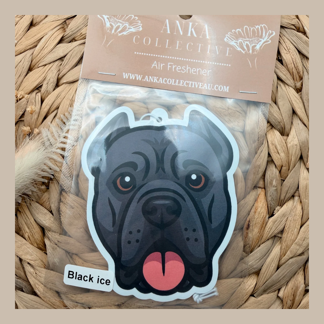 Cane Corso