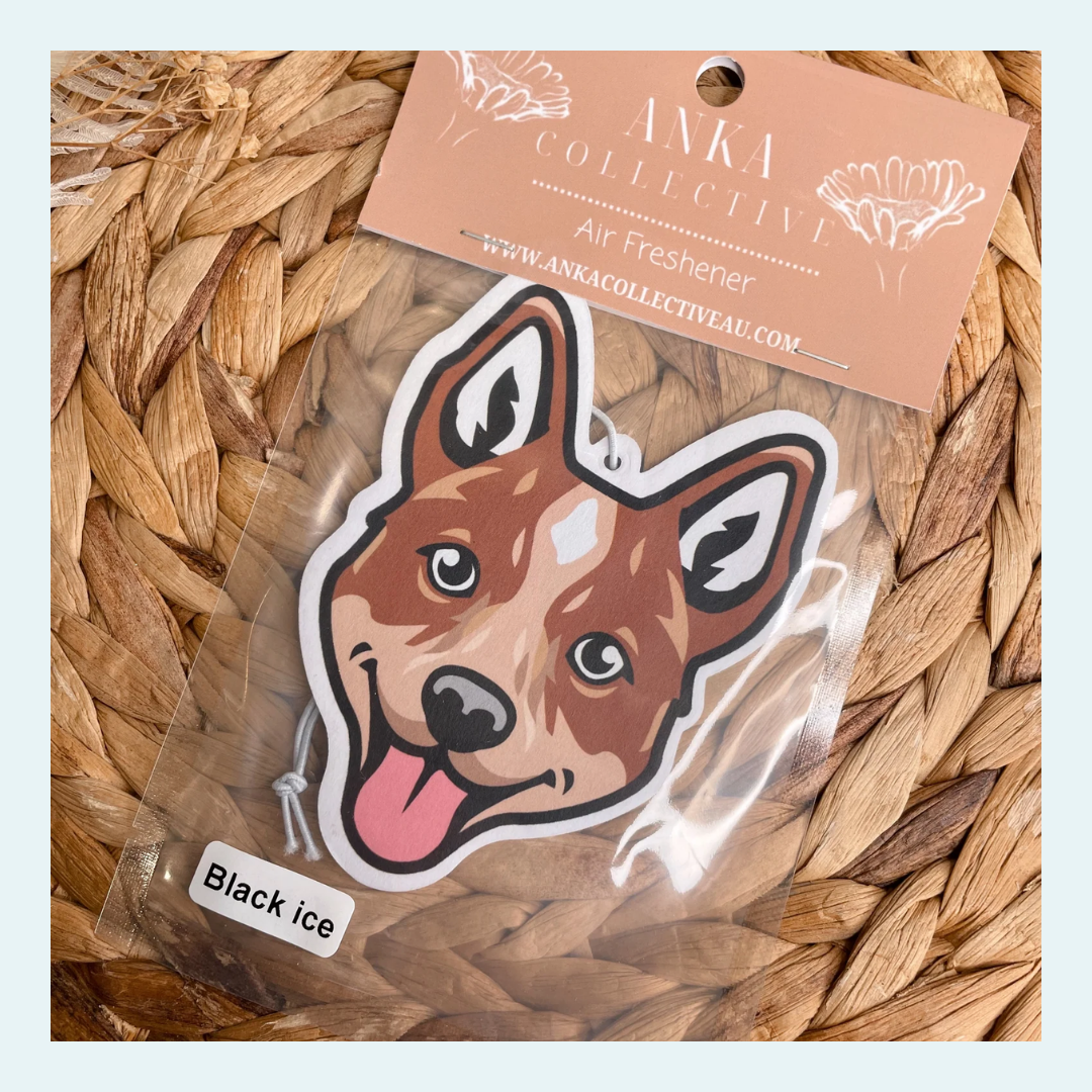 Cattle Dog/Red Heeler