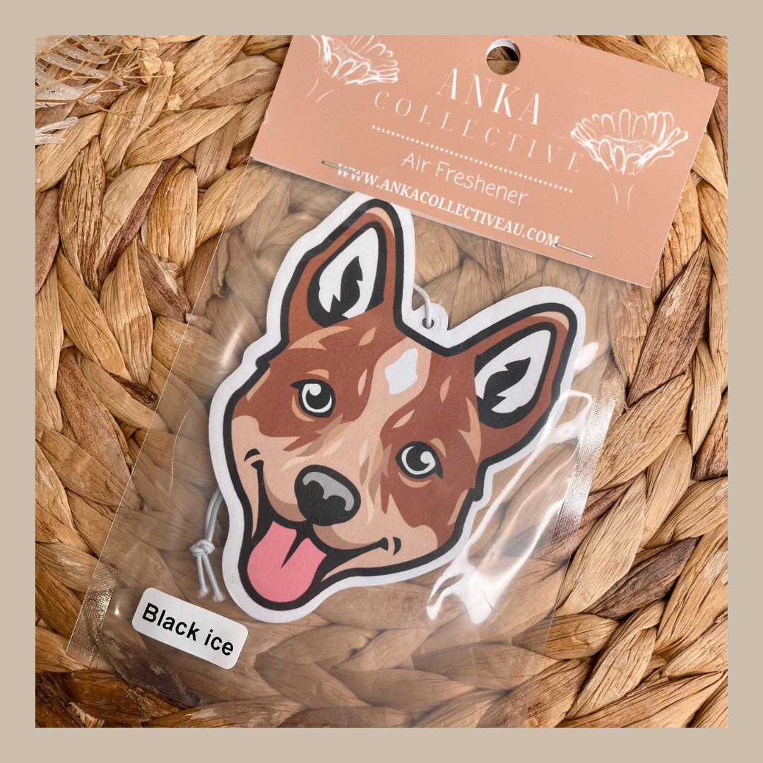 Cattle Dog/Red Heeler
