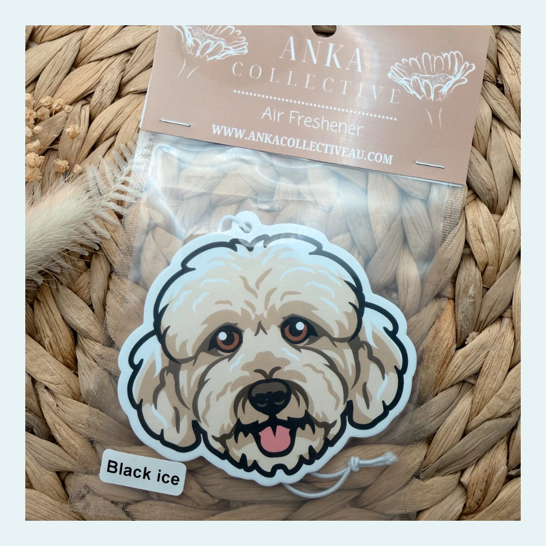 Cavoodle Cream