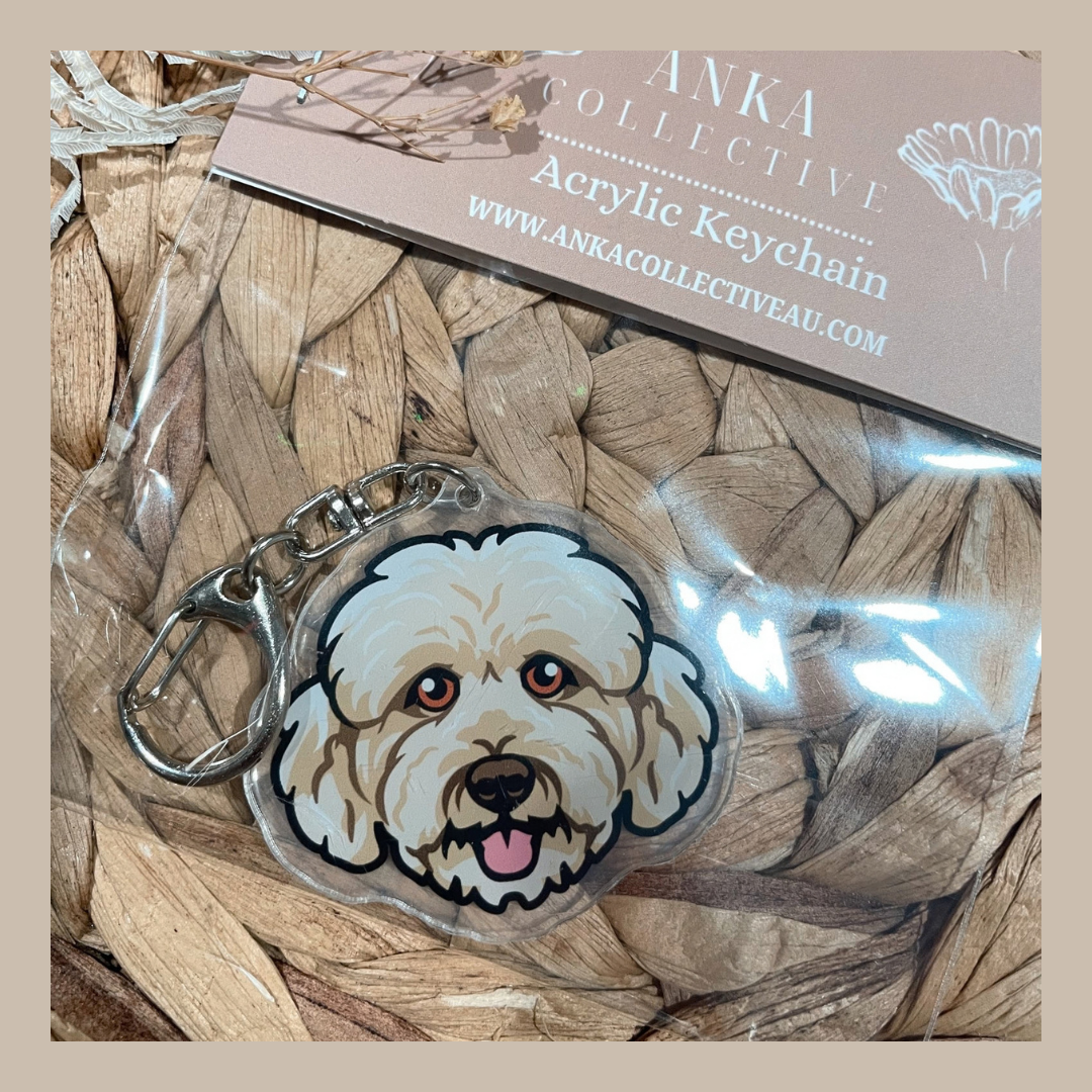 Cavoodle Cream
