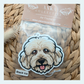 Cavoodle Cream