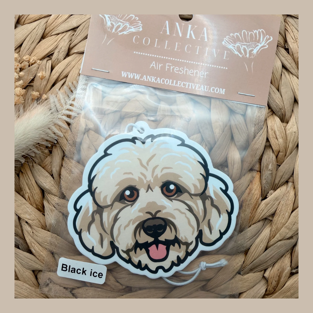 Cavoodle Cream