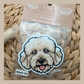 Cavoodle Cream