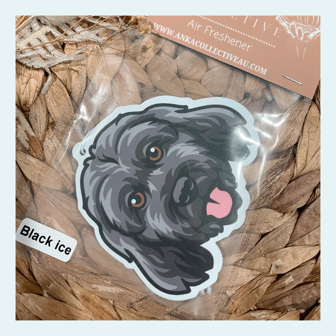 Cavoodle Grey