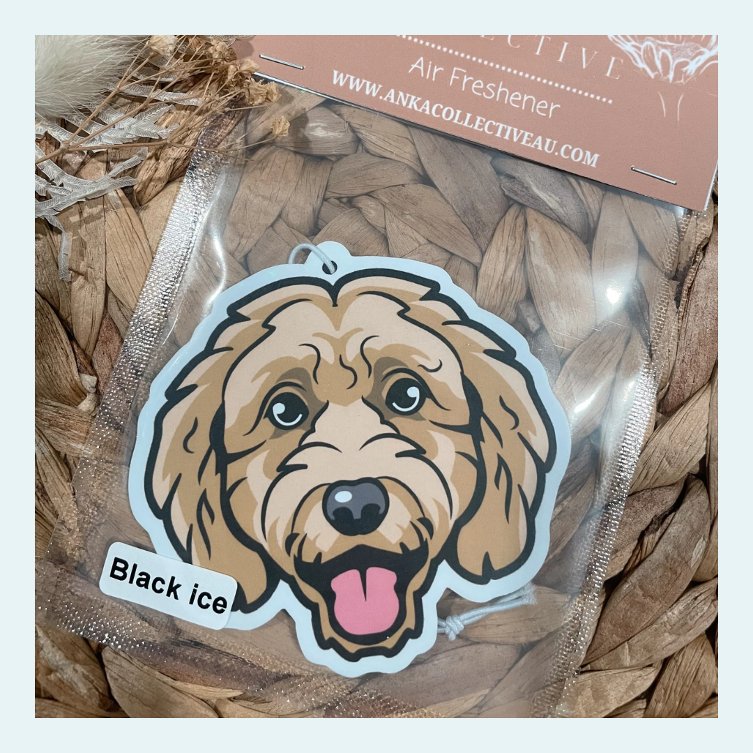 Cavoodle