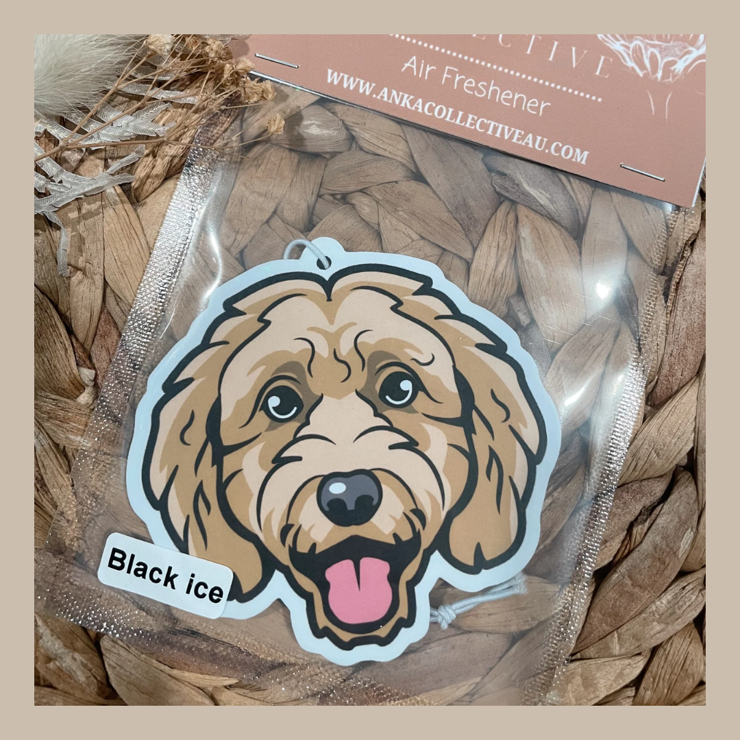Cavoodle