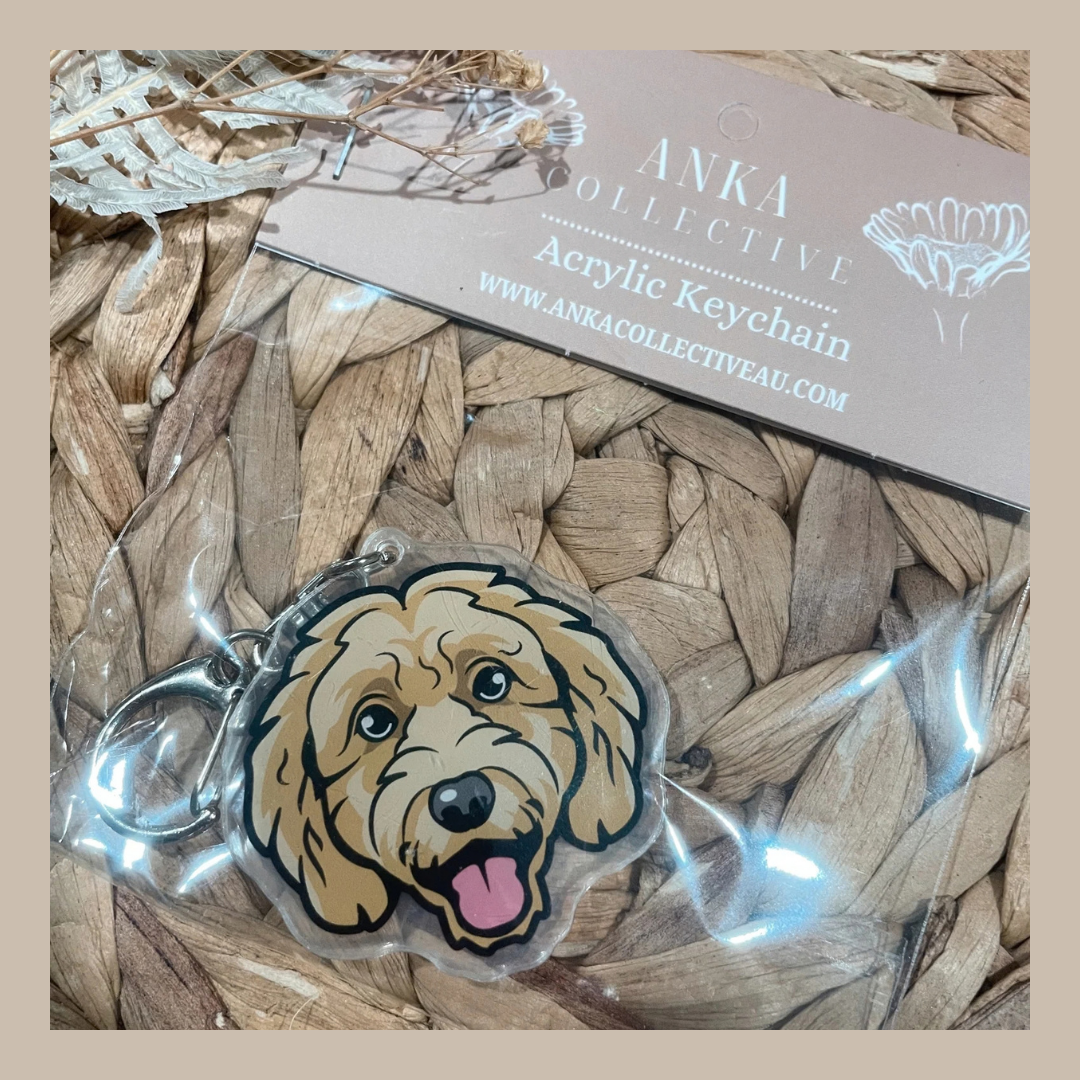 Cavoodle