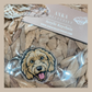 Cavoodle