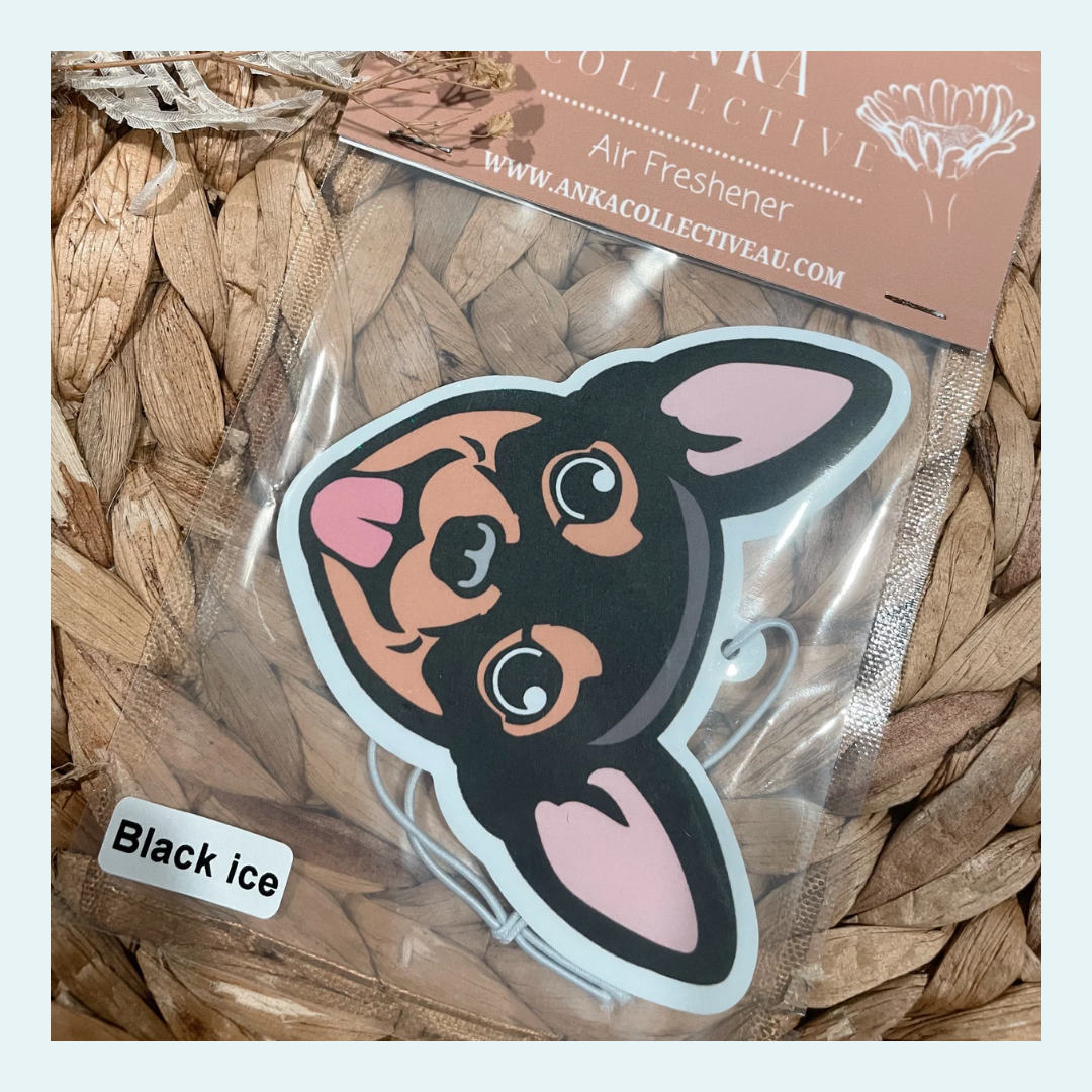 Chihuahua Black