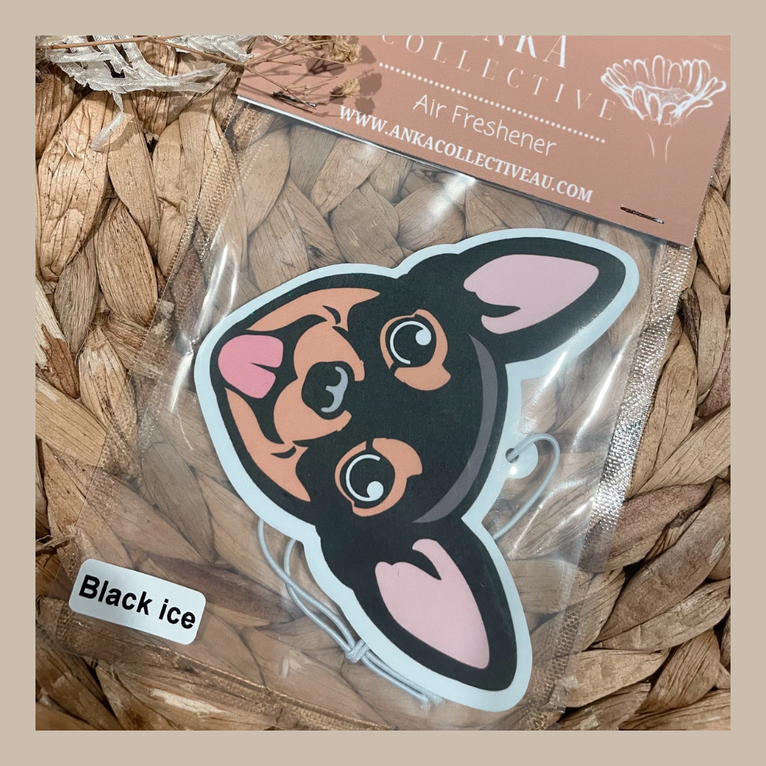 Chihuahua Black