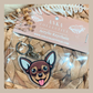 Chihuahua Brown