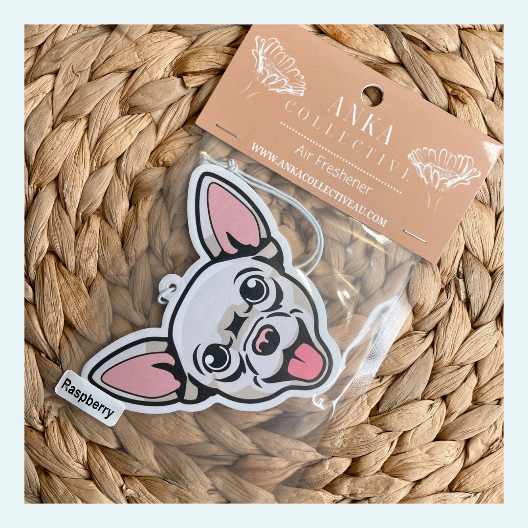 Chihuahua White