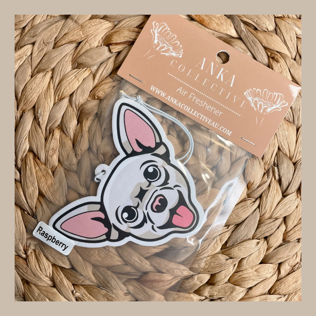Chihuahua White