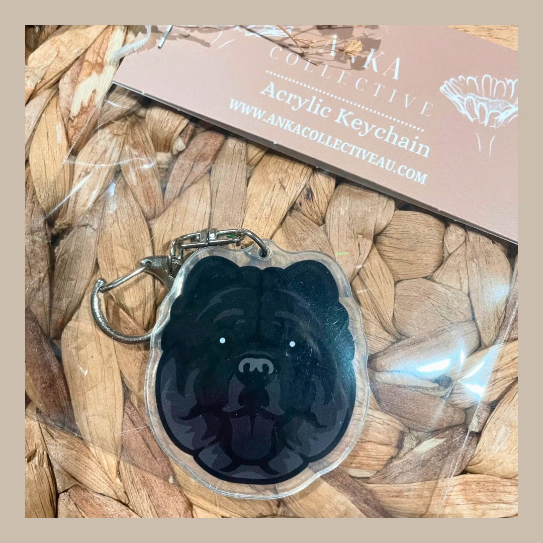Chow Chow Black