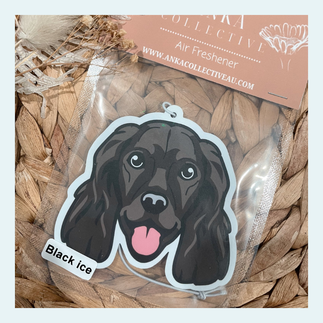 Cocker Spaniel Black