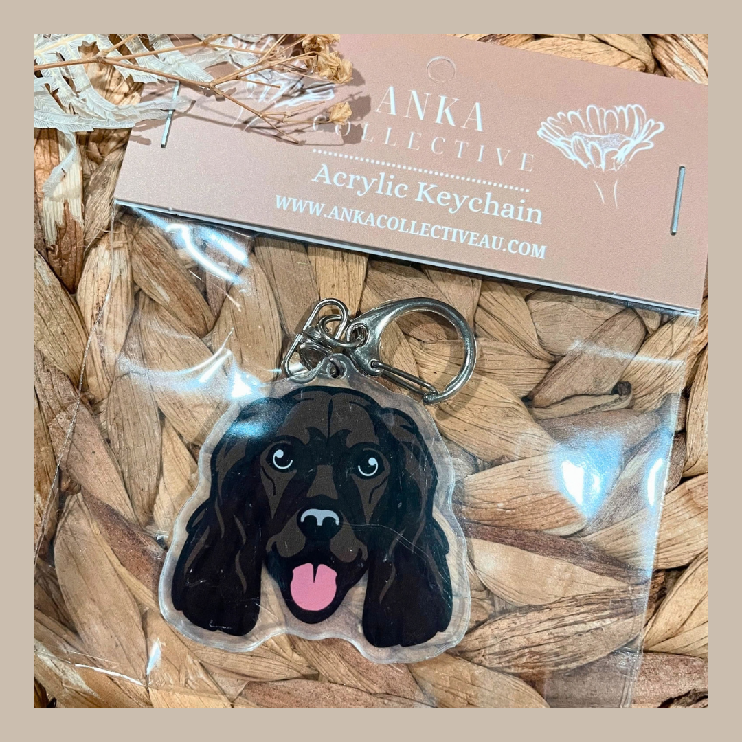 Cocker Spaniel Black