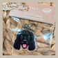 Cocker Spaniel Black