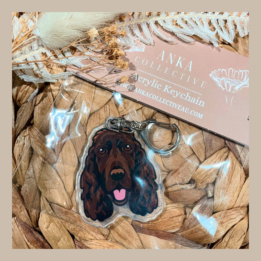 Cocker Spaniel Chocolate