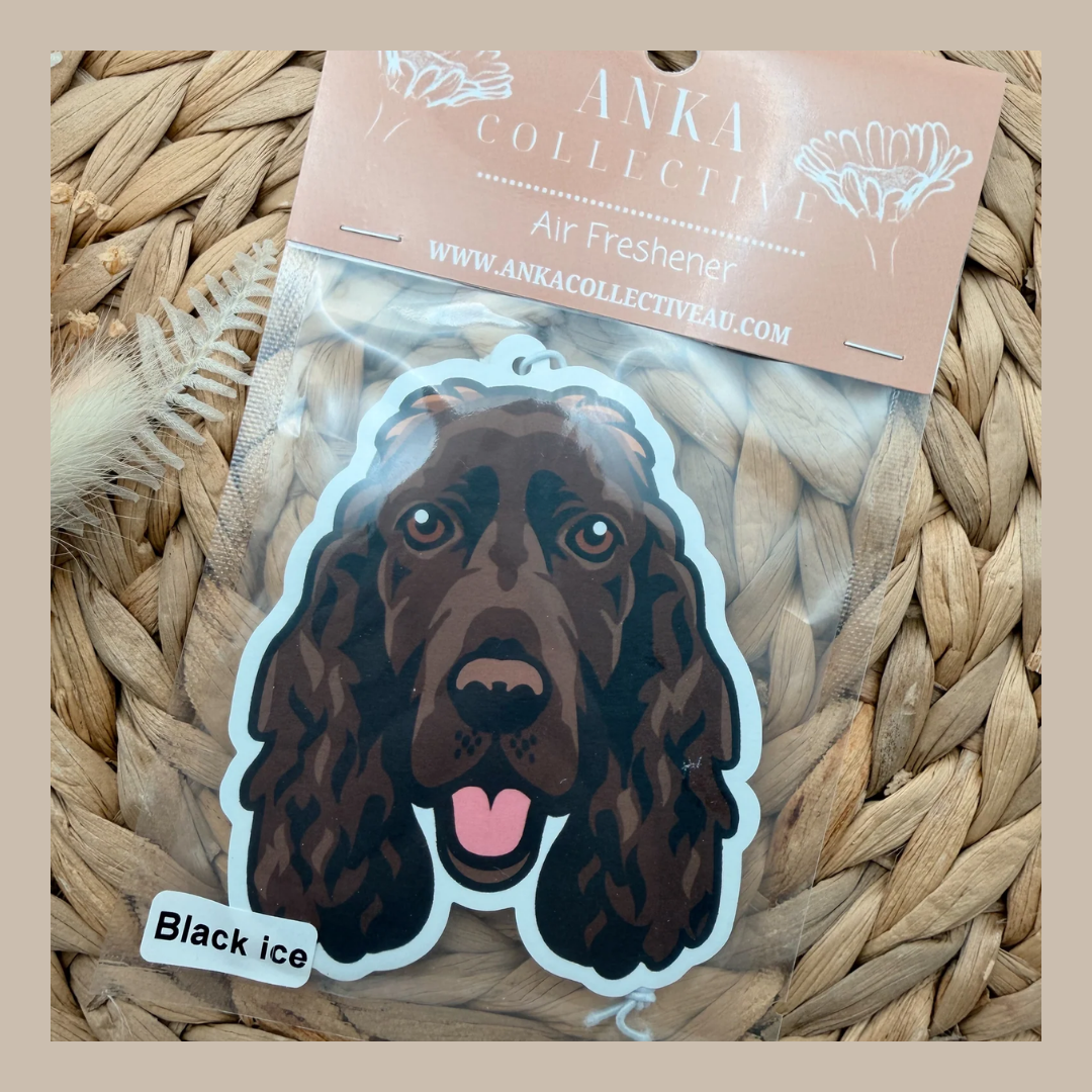 Cocker Spaniel Chocolate