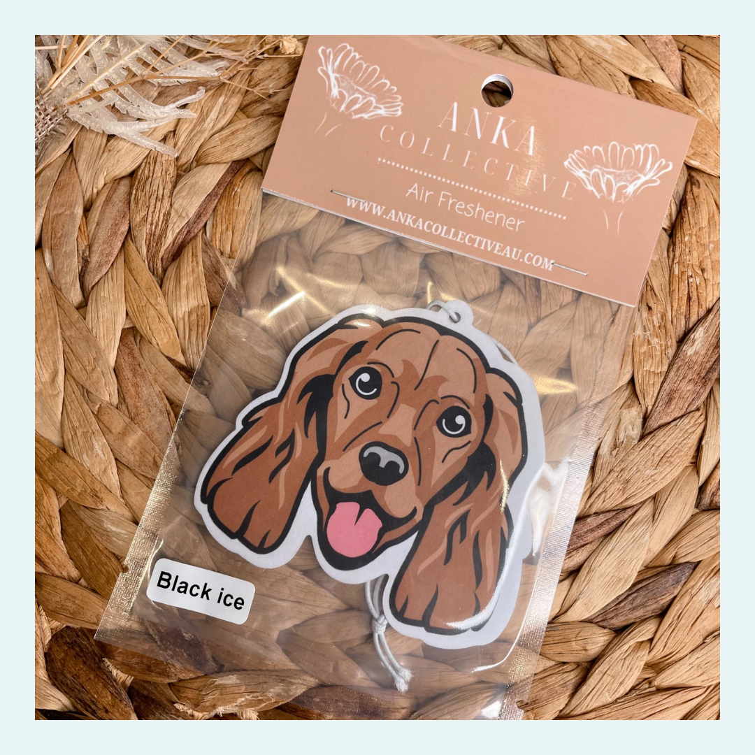 Cocker Spaniel
