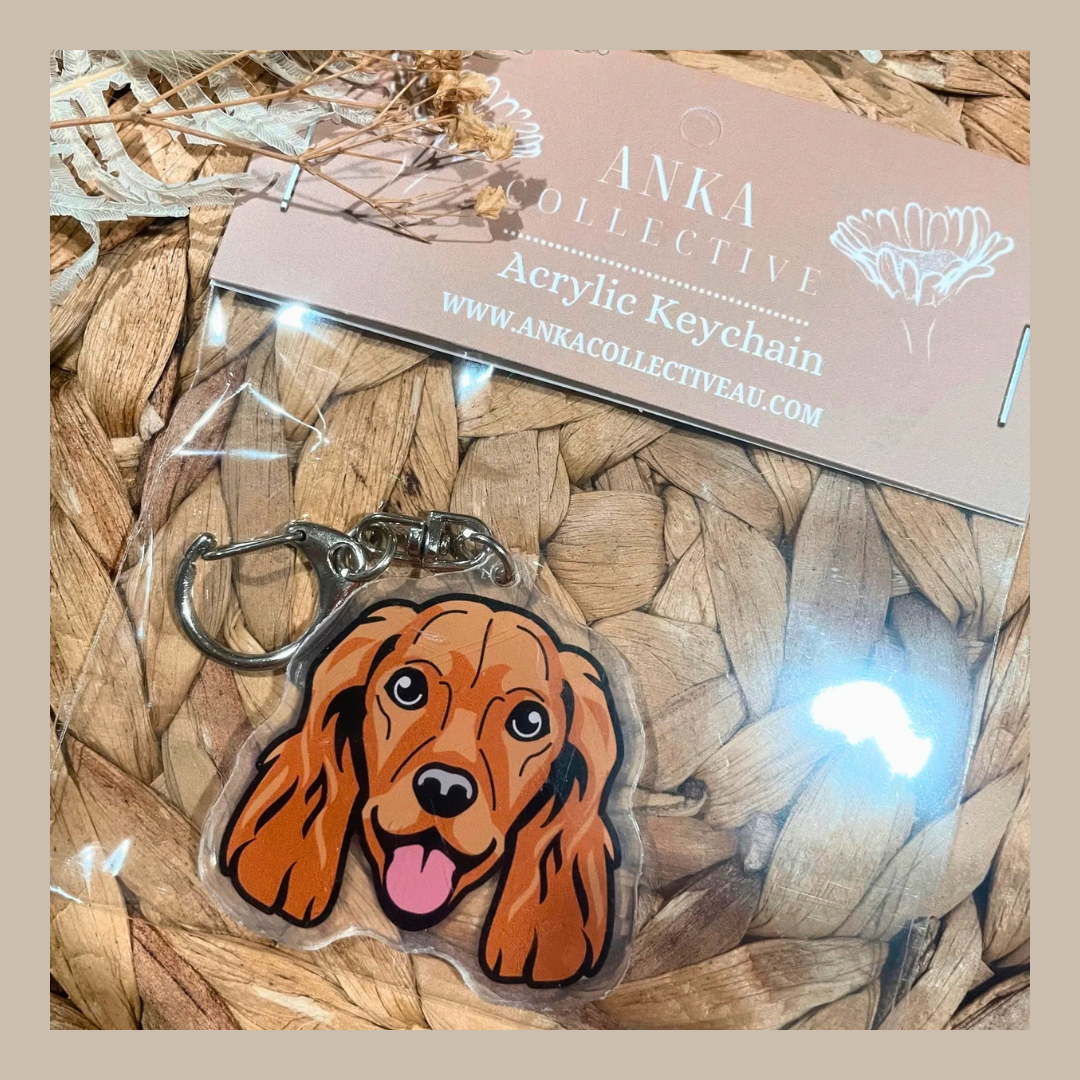 Cocker Spaniel