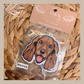 Cocker Spaniel