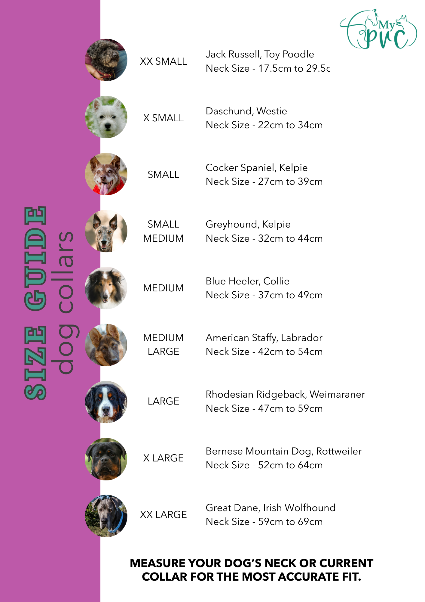 Dog Collars - bundle