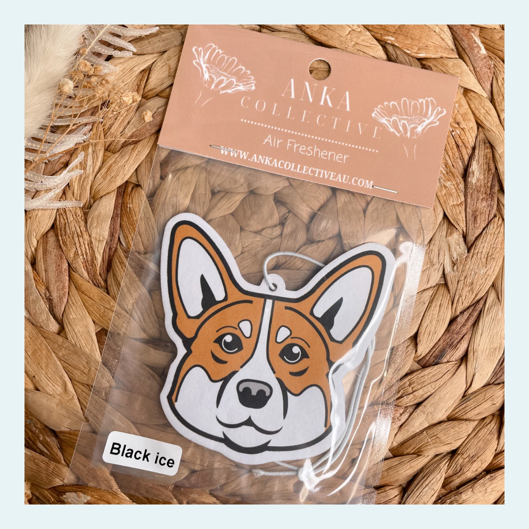 Corgi
