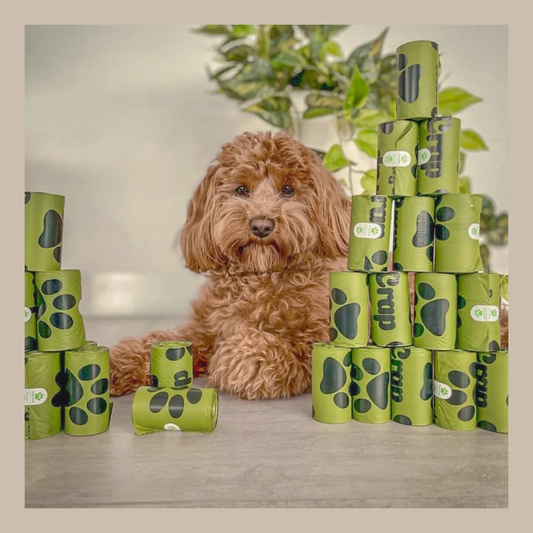 Dog Poop Bags