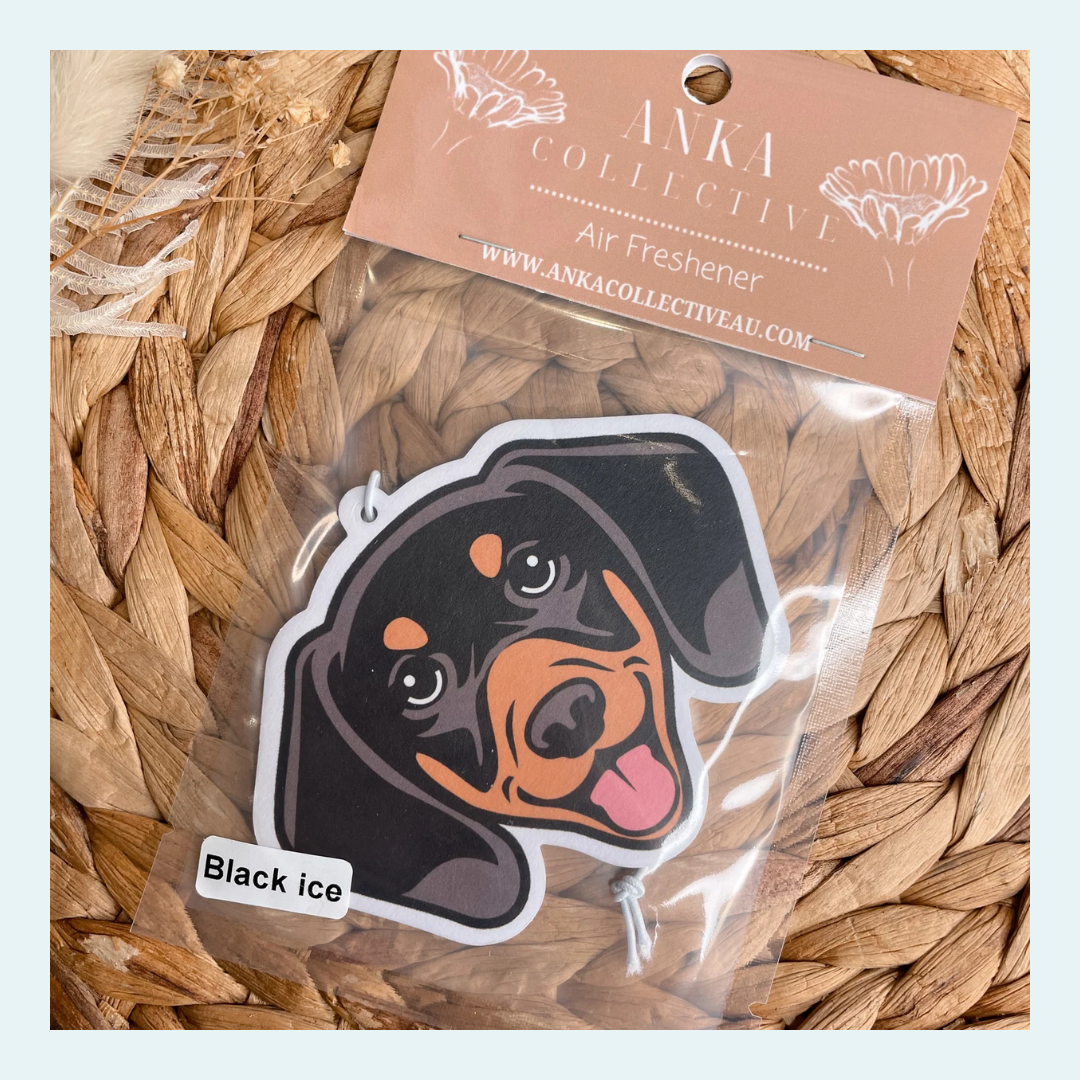 Dachshund Black