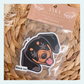 Dachshund Black