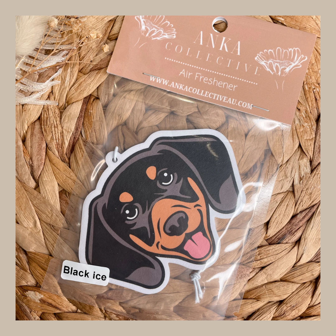 Dachshund Black