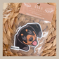 Dachshund Black