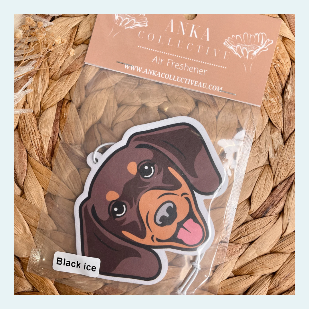 Dachshund Brown