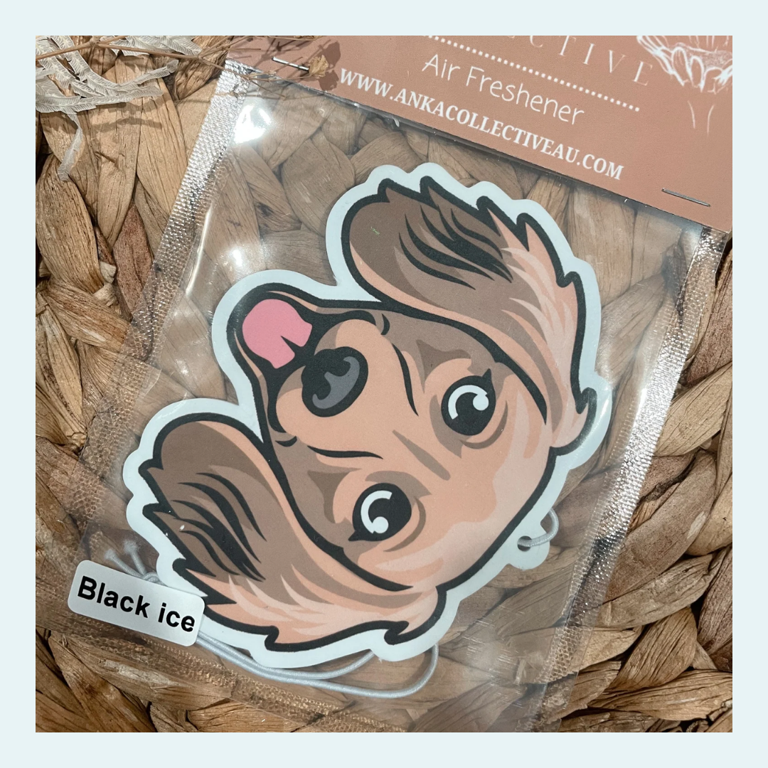 Dachshund Cream