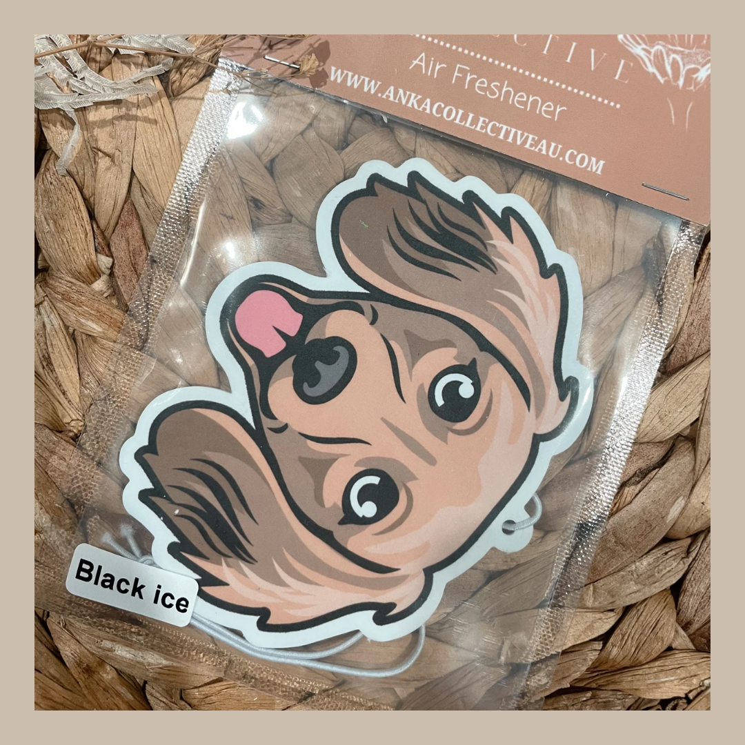 Dachshund Cream
