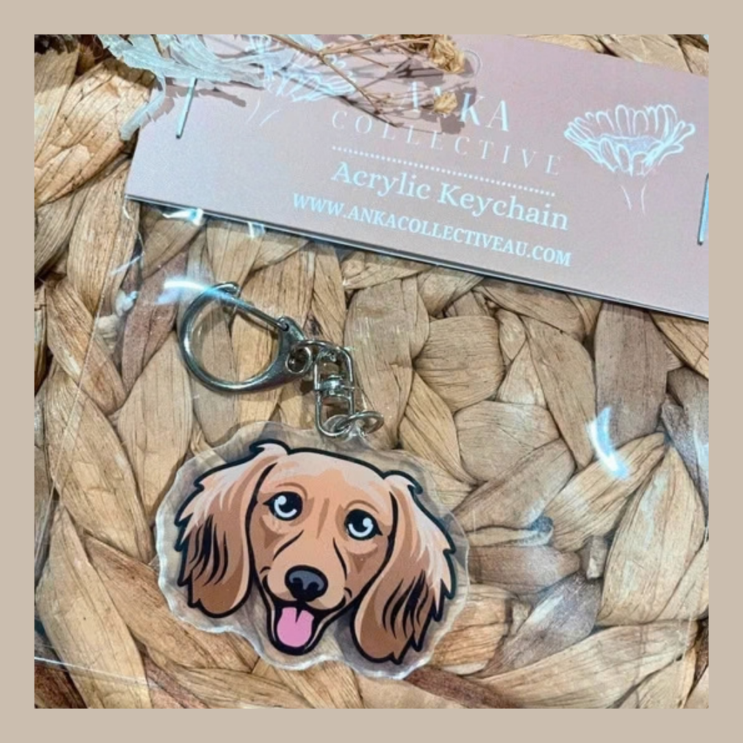 Dachshund Cream